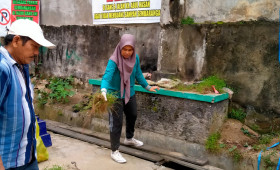 Kagiatan Probebaya Kelurahan Pasar Pagi Kerja Bakti RT ( 11,12,13 ) dan Warga Kelurahan Pasar Pagi